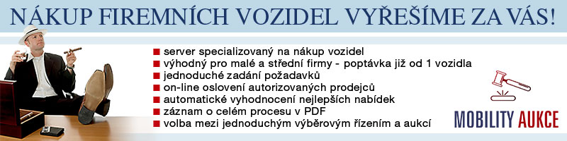 Elektronický výběrový řízení